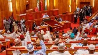 Senate Committee To Probe Airline-Passenger Clashes