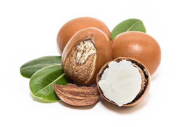 Tinubu Approves 6-Month Ban On Raw Shea Nut Exports