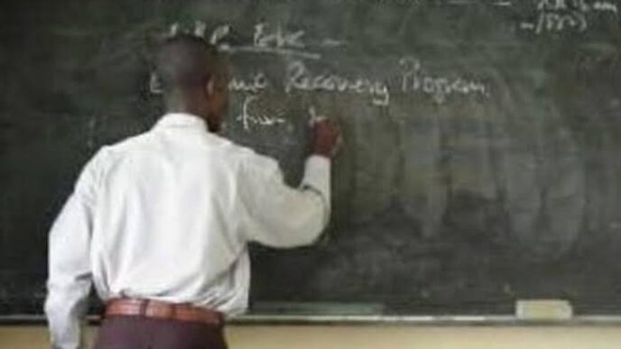 FG To Vet All Teachers For Criminal Records To Curb Forgery And Impersonation