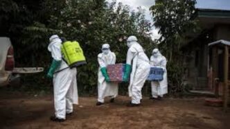 Africa Secures $498.8m To Combat Bundibugyo Ebola Outbreak