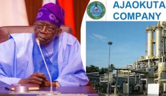 Reps Panel Says Tinubu Has Shown Political Will To Revive Ajaokuta Steel Company