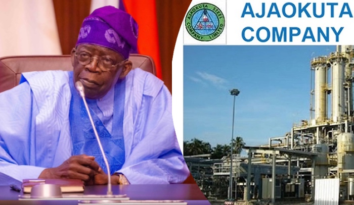 Reps Panel Says Tinubu Has Shown Political Will To Revive Ajaokuta Steel Company