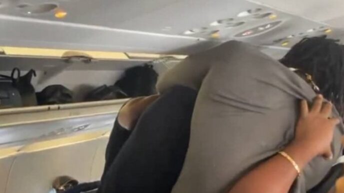 VIDEO: Mr Jollof And VeryDarkMan Fight Aboard Plane