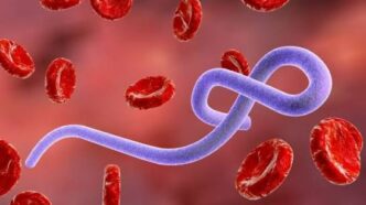 Ebola Reaches France As Returning Doctor Tests Positive