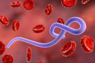 Ebola Reaches France As Returning Doctor Tests Positive