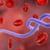 Ebola Reaches France As Returning Doctor Tests Positive