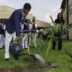 UBA Foundation Plants 100 Trees In Lagos Schools To Mark World Environment Day
