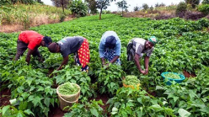 Nigeria Eyes $1bn Climate Funding To Support Smallholder Farmers